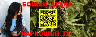 шишки Будённовск