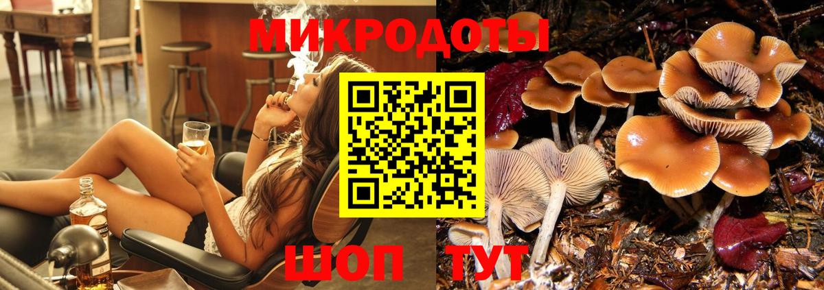 Лыткарино  Псилоцибиновые грибы Magic Shrooms  наркошоп  Вход с VPN 